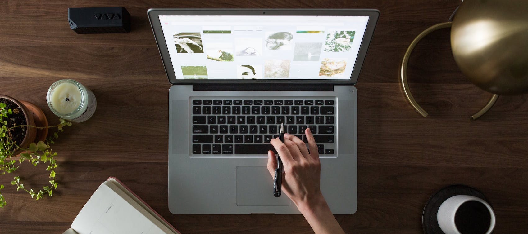 Elizabeth D Williams